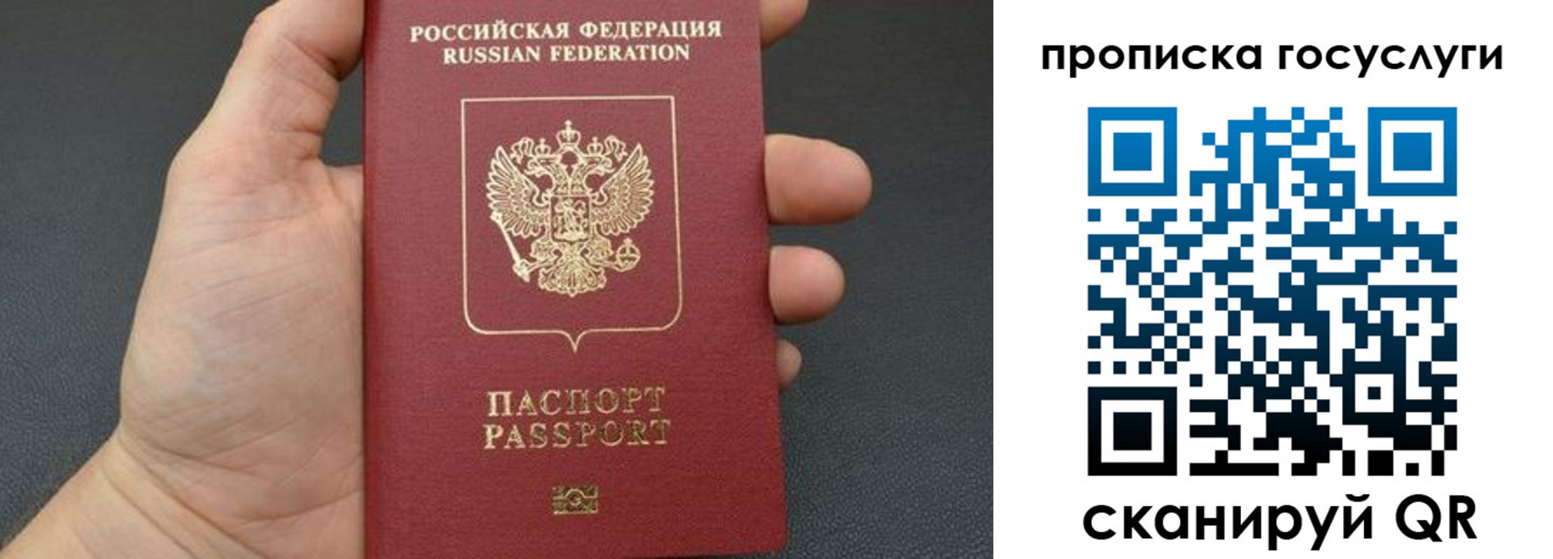 купить прописку в Ивантеевке